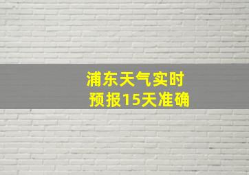 浦东天气实时预报15天准确