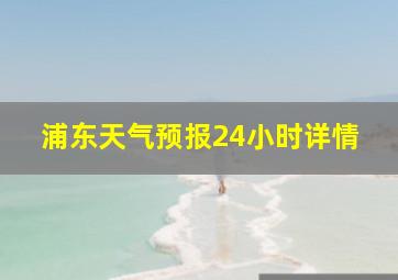 浦东天气预报24小时详情