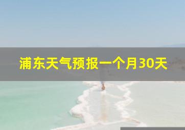 浦东天气预报一个月30天