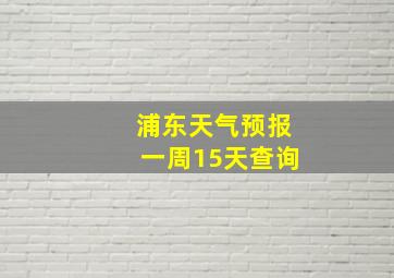 浦东天气预报一周15天查询