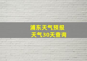 浦东天气预报天气30天查询