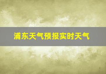 浦东天气预报实时天气