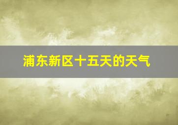 浦东新区十五天的天气