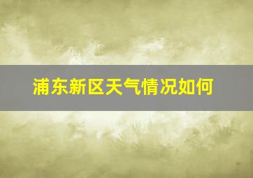 浦东新区天气情况如何