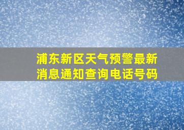 浦东新区天气预警最新消息通知查询电话号码