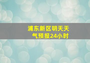 浦东新区明天天气预报24小时