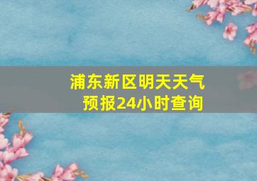 浦东新区明天天气预报24小时查询