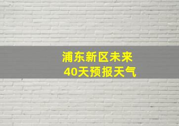 浦东新区未来40天预报天气