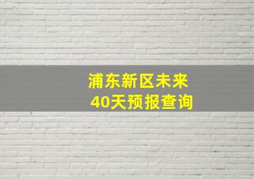 浦东新区未来40天预报查询