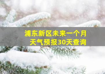 浦东新区未来一个月天气预报30天查询