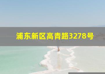 浦东新区高青路3278号