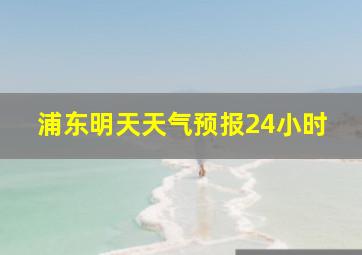 浦东明天天气预报24小时