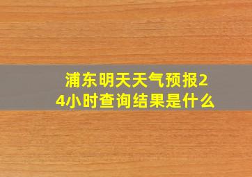 浦东明天天气预报24小时查询结果是什么