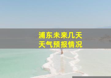 浦东未来几天天气预报情况