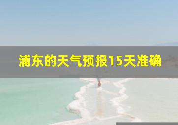 浦东的天气预报15天准确