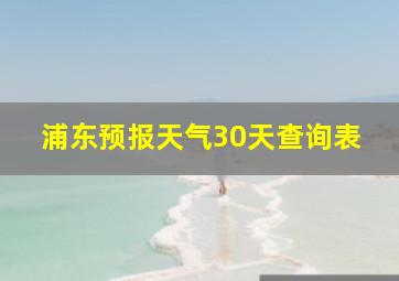 浦东预报天气30天查询表