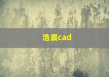 浩晨cad