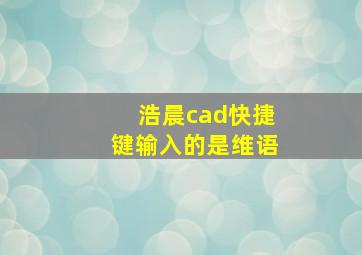 浩晨cad快捷键输入的是维语