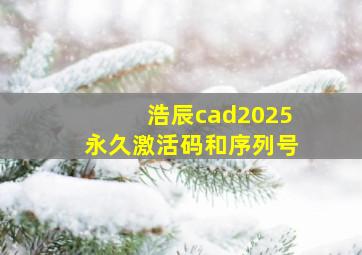 浩辰cad2025永久激活码和序列号