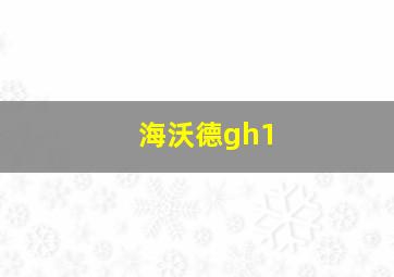 海沃德gh1