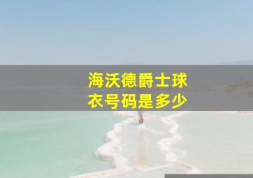 海沃德爵士球衣号码是多少