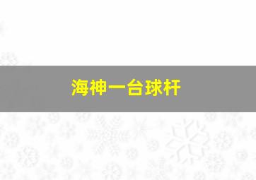 海神一台球杆