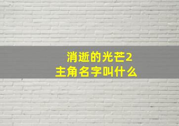 消逝的光芒2主角名字叫什么