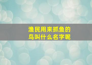 渔民用来抓鱼的鸟叫什么名字呢