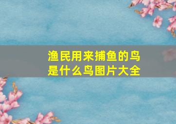 渔民用来捕鱼的鸟是什么鸟图片大全