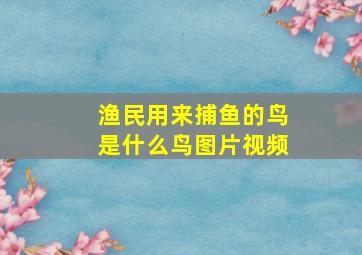 渔民用来捕鱼的鸟是什么鸟图片视频