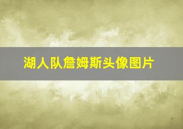 湖人队詹姆斯头像图片