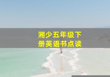 湘少五年级下册英语书点读