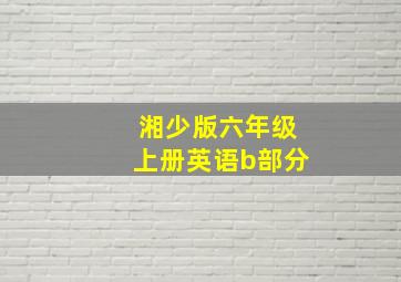 湘少版六年级上册英语b部分