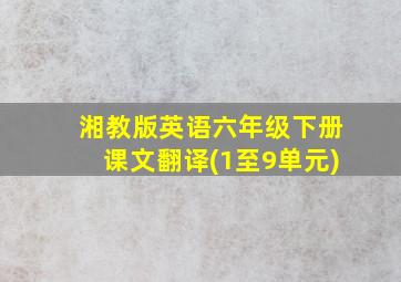 湘教版英语六年级下册课文翻译(1至9单元)