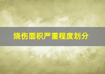 烧伤面积严重程度划分