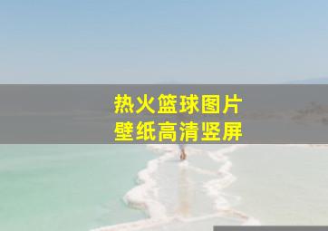 热火篮球图片壁纸高清竖屏