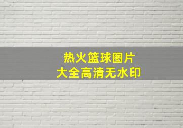 热火篮球图片大全高清无水印