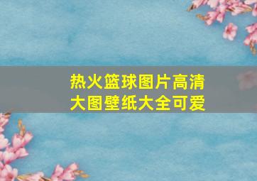 热火篮球图片高清大图壁纸大全可爱