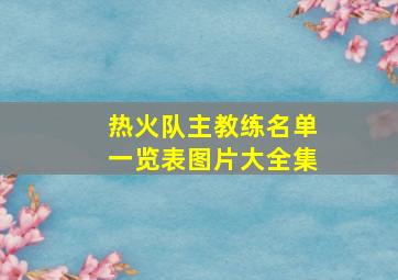 热火队主教练名单一览表图片大全集