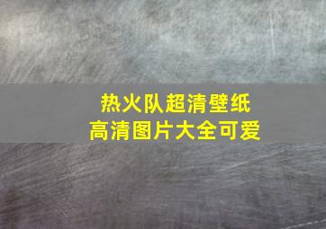 热火队超清壁纸高清图片大全可爱