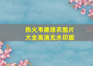 热火韦德球衣图片大全高清无水印版