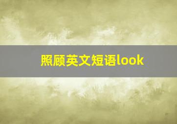 照顾英文短语look