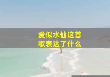 爱似水仙这首歌表达了什么