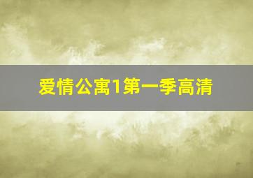 爱情公寓1第一季高清