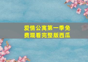 爱情公寓第一季免费观看完整版西瓜