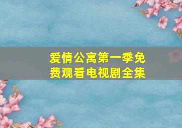 爱情公寓第一季免费观看电视剧全集