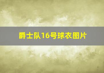 爵士队16号球衣图片