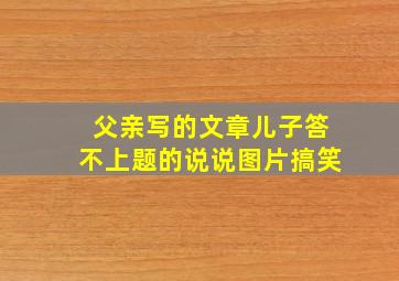 父亲写的文章儿子答不上题的说说图片搞笑