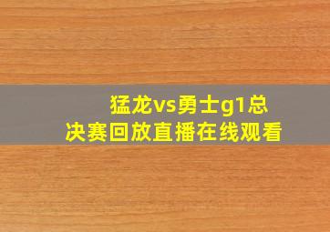 猛龙vs勇士g1总决赛回放直播在线观看