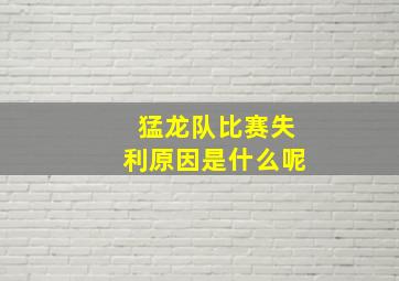 猛龙队比赛失利原因是什么呢